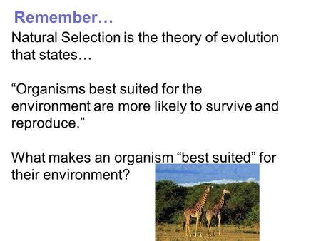 Remember… Natural Selection is the theory of evolution that states…