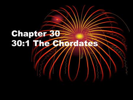 Chapter 30 30:1 The Chordates. Why Chordate? Even though many of the animals in this chapter and future chapters have different characteristics, they.