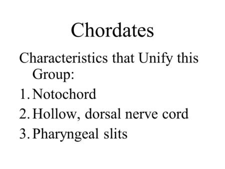 Chordates Characteristics that Unify this Group: Notochord