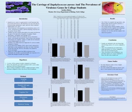 The Carriage of Staphylococcus aureus And The Prevalence of Virulence Genes In College Students Sachiya Ridore Mentor: Dr. Gray, Department of Biology,