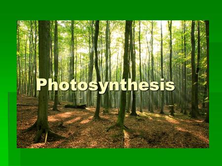 Photosynthesis. Energy & Life  Energy – the ability to do work; all living things depend on energy  Sun = main source  Autotrophs – producers; have.