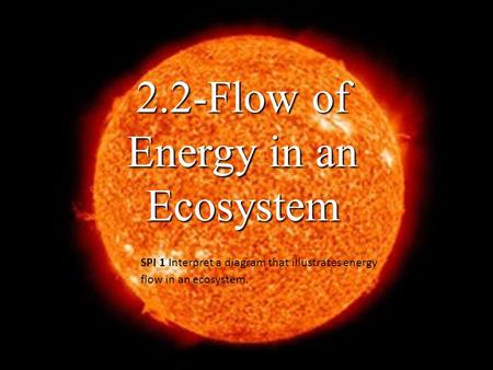 2.2-Flow of Energy in an Ecosystem SPI 1 Interpret a diagram that illustrates energy flow in an ecosystem.