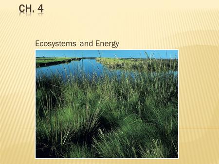 Ecosystems and Energy.  “eco-” = house  The study of the interactions among organisms and between organisms and their abiotic environment  Abiotic.