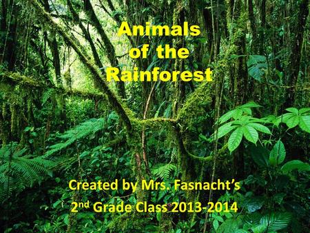 Animals of the Rainforest Created by Mrs. Fasnacht’s 2 nd Grade Class 2013-2014.
