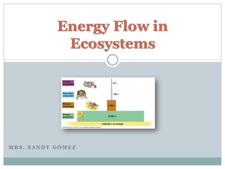 MRS. SANDY GÓMEZ Energy Flow in Ecosystems. Are the feeding relationships between organisms. A Food Chain is:  transfer of food energy from its source.