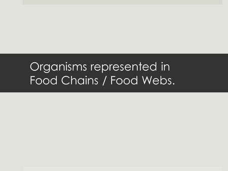 Organisms represented in Food Chains / Food Webs..