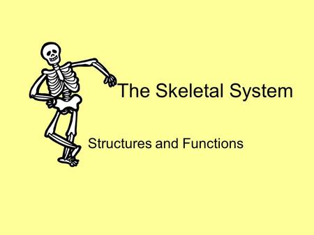The Skeletal System Structures and Functions. FUNCTIONS Support: Provides a framework for the body Support for soft tissues and a point of attachment.