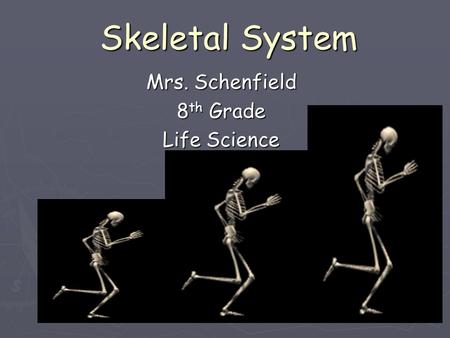 Skeletal System Mrs. Schenfield 8 th Grade Life Science.