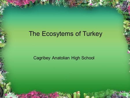 The Ecosytems of Turkey