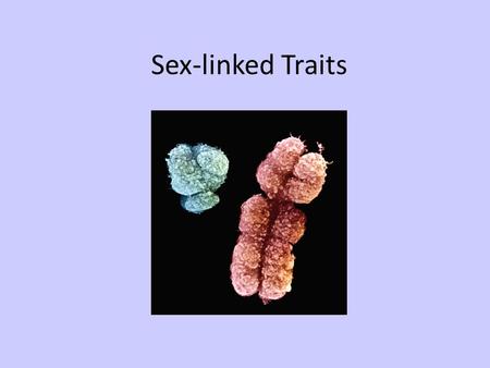 Sex-linked Traits.