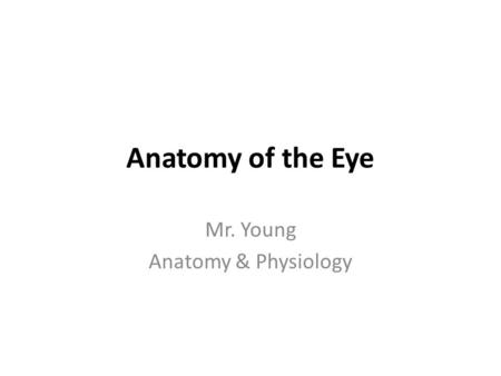 Anatomy of the Eye Mr. Young Anatomy & Physiology.