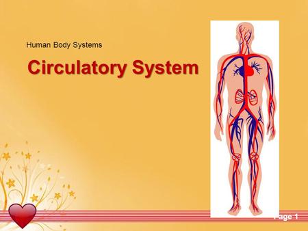 Human Body Systems Circulatory System.