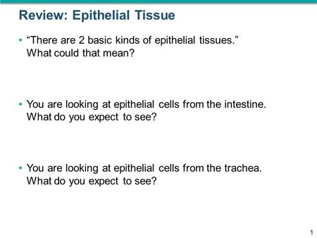 Review: Epithelial Tissue 1 “There are 2 basic kinds of epithelial tissues.” What could that mean? You are looking at epithelial cells from the intestine.