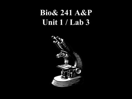 Bio& 241 A&P Unit 1 / Lab 3.