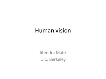 Human vision Jitendra Malik U.C. Berkeley. Visual Areas.