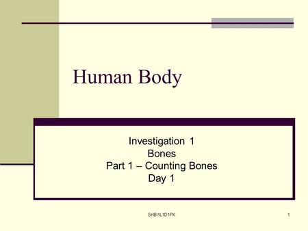 SHBI1L1D1PK1 Human Body Investigation 1 Bones Part 1 – Counting Bones Day 1.