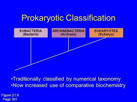 Prokaryotic Classification EUBACTERIA (Bacteria) ARCHAEBACTERIA (Archaea) EUKARYOTES (Eukarya) Traditionally classified by numerical taxonomy Now increased.
