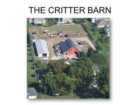 THE CRITTER BARN. Preserving Our Educational Mission The Critter Barn evolved from my own children’s experiences with the animals.