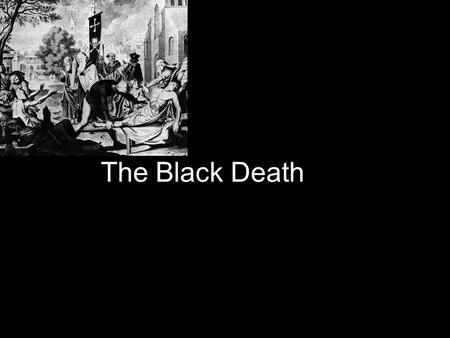 The Black Death. Microscopic view How Its started Fleas in rat muliply and the rat bites the human and then you get the black death.