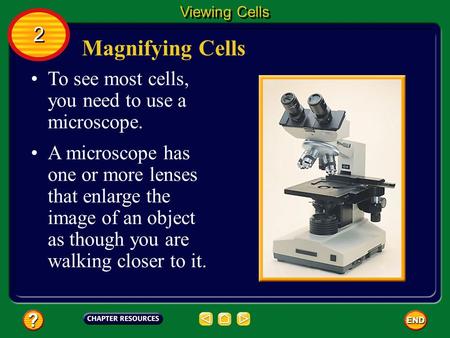 Magnifying Cells To see most cells, you need to use a microscope. A microscope has one or more lenses that enlarge the image of an object as though you.