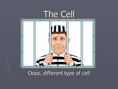 The Cell Oops, different type of cell. The Cell There that’s better!
