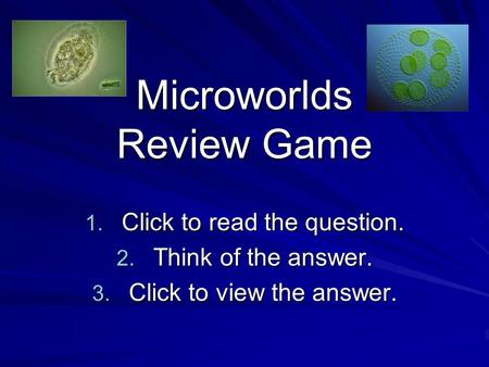 Microworlds Review Game 1. Click to read the question. 2. Think of the answer. 3. Click to view the answer.