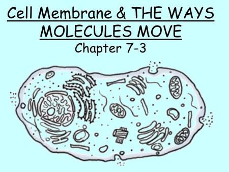 Cell Membrane & THE WAYS MOLECULES MOVE Chapter 7-3