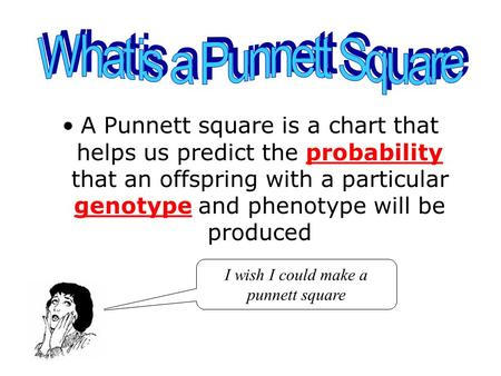 A Punnett square is a chart that helps us predict the probability that an offspring with a particular genotype and phenotype will be produced I wish I.