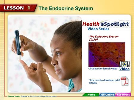The Endocrine System (2:30) Click here to launch video Click here to download print activity.