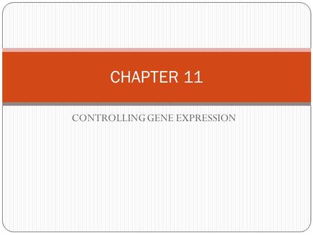 CONTROLLING GENE EXPRESSION CHAPTER 11. GENE EXPRESSION - occurs in the DNA the activation of a gene that results in the formation of a protein. The gene.