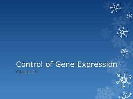 Control of Gene Expression Chapter 11. 11.1 Proteins interacting w/ DNA turn Prokaryotic genes on or off in response to environmental changes  Gene Regulation: