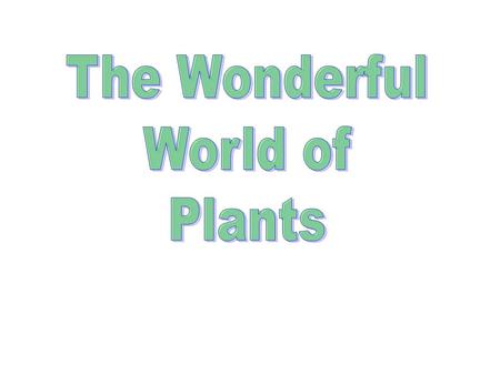 Plants who eat Not common Examples include Venus Fly Trap, Sundew and Pitcher plant Use ENZYMES :chemicals that break big molecules into small molecules.