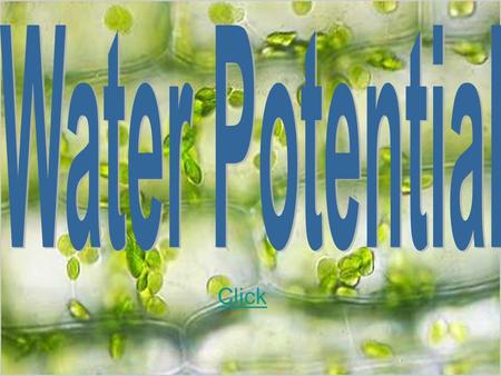 Click. Water potential Water potential is a concept that helps to describe the tendency of water to move from one area to another, particularly into or.