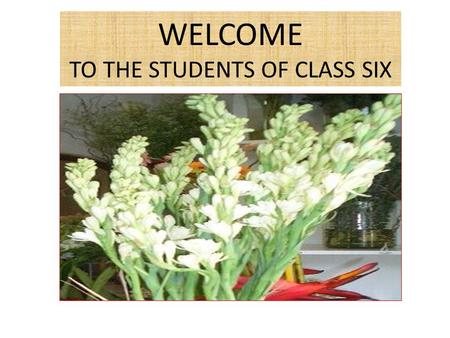WELCOME TO THE STUDENTS OF CLASS SIX. INTRODUCTION Teacher Introdution Md A Razzak Sardar Assistant Teacher Mohismari High School Singra Natore Lesson.