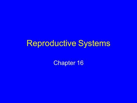 Reproductive Systems Chapter 16.