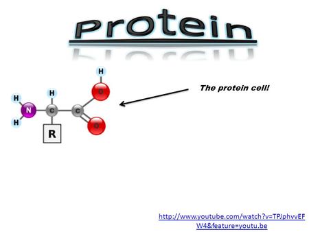 The protein cell!  W4&feature=youtu.be.