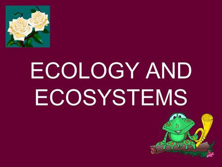 ECOLOGY AND ECOSYSTEMS. ECOLOGY IS THE STUDY OF THE INTERACTIONS BETWEEN ORGANISMS AND THEIR ENVIRONMENTS.