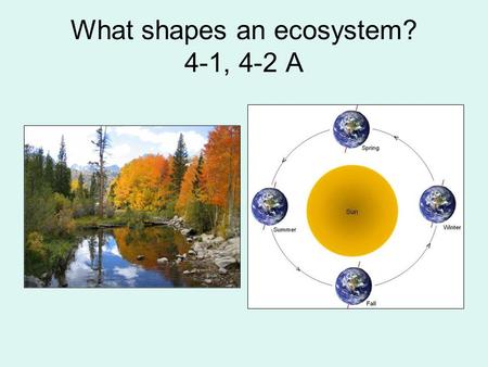 What shapes an ecosystem? 4-1, 4-2 A. Greenhouse effect CO 2, methane, water vapor trap heat energy Maintains Earth’s temp range Solar E is trapped, heat.