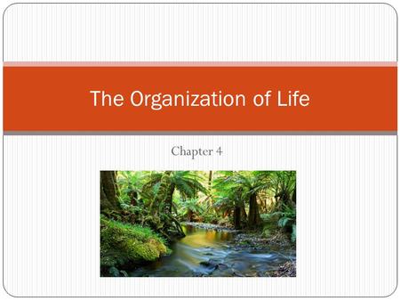 Chapter 4 The Organization of Life. Susquehanna River Ecosystem Draw all 10 circled items from the list, PLUS 5 more uncircled items of your choice.