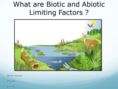 What are Biotic and Abiotic Limiting Factors ? Nermin Youssef 9 th grade 5- 1- 12.