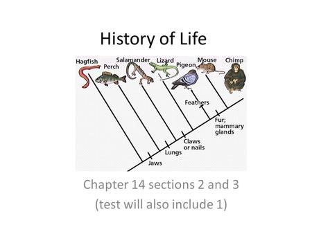 History of Life Chapter 14 sections 2 and 3 (test will also include 1)