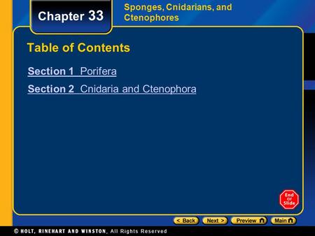 Chapter 33 Table of Contents Section 1 Porifera