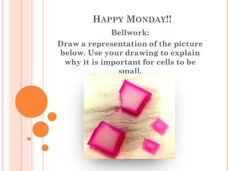 H APPY M ONDAY !! Bellwork: Draw a representation of the picture below. Use your drawing to explain why it is important for cells to be small.