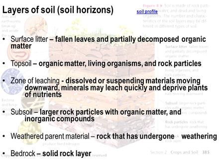 Layers of soil (soil horizons) soil profile