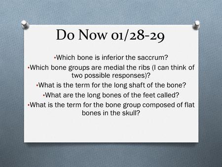 Do Now 01/28-29 Which bone is inferior the saccrum? Which bone groups are medial the ribs (I can think of two possible responses)? What is the term for.