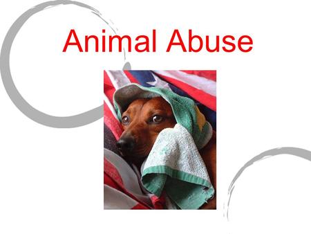 Animal Abuse.