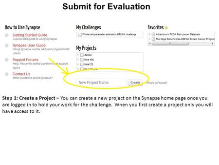 Submit for Evaluation Step 1: Create a Project – You can create a new project on the Synapse home page once you are logged in to hold your work for the.