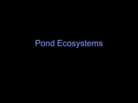 Pond Ecosystems.