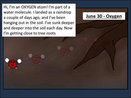 Hi, I’m an OXYGEN atom! I’m part of a water molecule. I landed as a raindrop a couple of days ago, and I’ve been hanging out in the soil. I’ve sunk deeper.