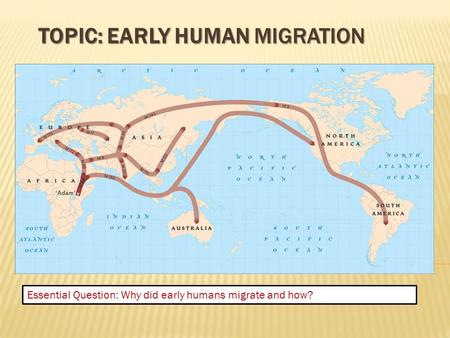 TOPIC: EARLY HUMAN MIGRATION Essential Question: Why did early humans migrate and how?
